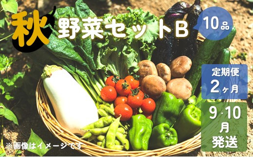【予約受付/2024年9・10月発送】秋 野菜 セット B (10品) 【2ヶ月定期便】