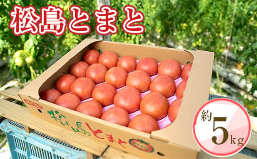 松島とまと / 農産物 トマト 新鮮 宮城県
