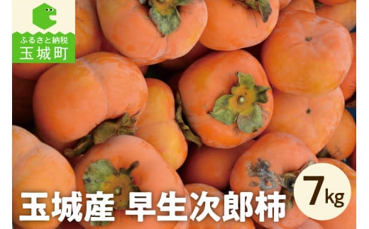 玉城産 早生次郎柿 約7kg 数量限定(クレジット申込限定) 518680 - 三重県玉城町