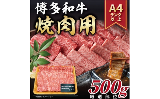2023年11月発送開始『定期便』博多和牛焼き肉用 500g(水巻町)全3回【5155004】 1039859 - 福岡県水巻町