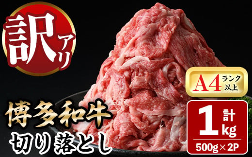 【ksg0290】＜訳あり＞博多和牛切り落とし(計1kg・500g×2P)＜離島配送不可＞【MEATPLUS】