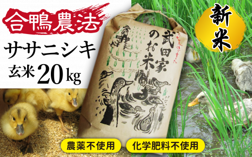 《令和５年度産》武田家のお米 ササニシキ（玄米）20kg＜合鴨農法＞【米農家 仁左ェ門】 / 米 ５キロ ４袋 アイガモ