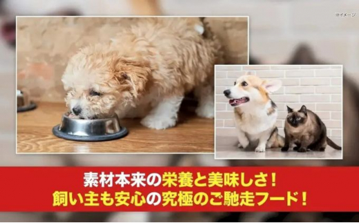 犬猫用ペットフードわんにゃん市場(コノシロ)10袋セット - 静岡県湖西