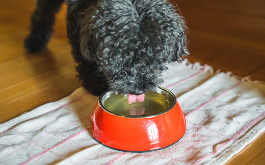 大型犬はもちろん、小型のワンちゃんでもペロッとたいらげる！
これしか飲まなくなる場合もあるので、少しずつあげてくださいね