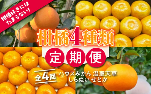 [10/28寄附金額見直し(値上げ)予定][4回定期便][2025年7月初回発送]柑橘 4種類 定期便 / ハウスみかん 温室天草 しらぬい せとか 果物 フルーツ / 南島原市 /JA島原雲仙東南部基幹センター 