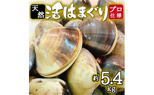 瞬間冷凍 九十九里産地はまぐり4kg【1379550】 - 千葉県旭市｜ふるさと