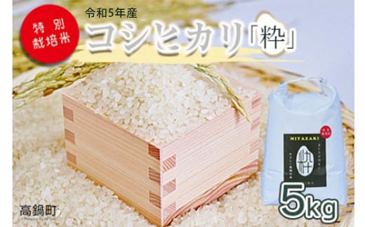 [令和5年度 特別栽培米「粋」コシヒカリ 5kg] ※入金確認後、翌月末迄に順次出荷します。 米 こしひかり