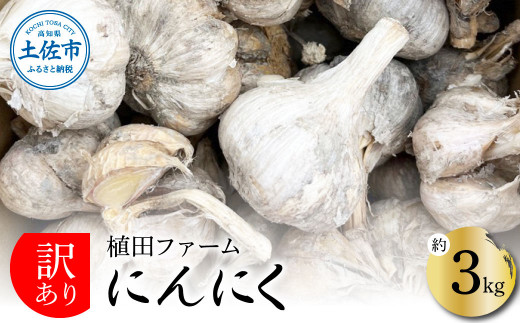 訳あり にんにく 約3kg 乾燥 ニンニク にんにく 訳アリ わけアリ 不揃い 型崩れ 自然乾燥 大量 大容量 常温 配送 数量限定 高知県産