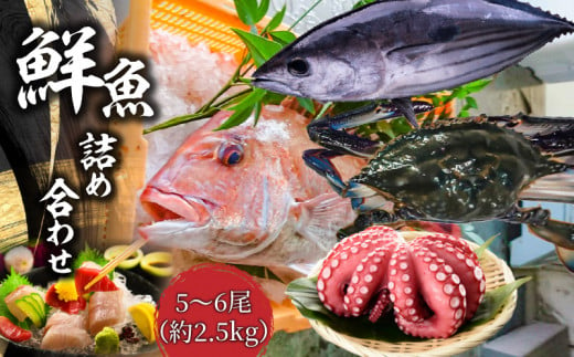 M77-0002_鮮魚詰め合わせ 5～6尾（約2.5kg） 281590 - 香川県三豊市