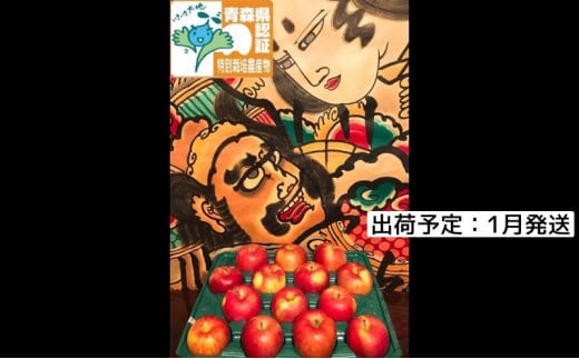 りんご 【 1月発送 】 訳あり 家庭用 葉とらず サンふじ 約 5kg 青森県特別栽培農産物認証農園 【 弘前市産 青森りんご 】 684407 - 青森県弘前市