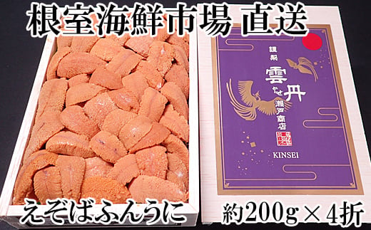 E-14020 【12月8日決済分まで年内配送】 エゾバフンウニ(赤系)200g×4折 1041793 - 北海道根室市