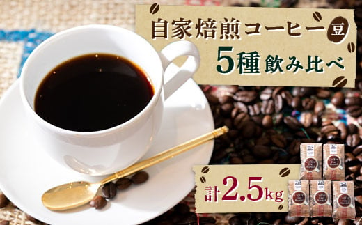 ＜自家焙煎珈琲豆＞コーヒー豆5種類セット　500g×5袋　計2500g【1065575】