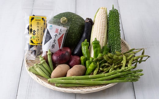 【32001】朝採れ岩美の野菜おまかせセット 590314 - 鳥取県岩美町