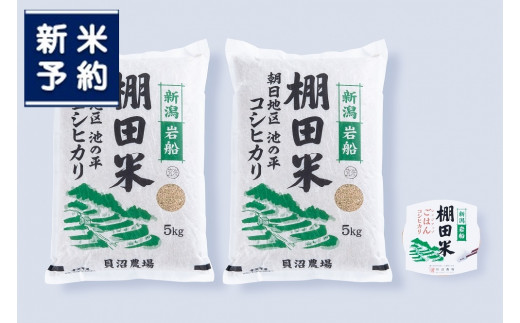 新米受付・令和5年産米】【定期便：4ヶ月連続でお届け】 新潟県岩船産