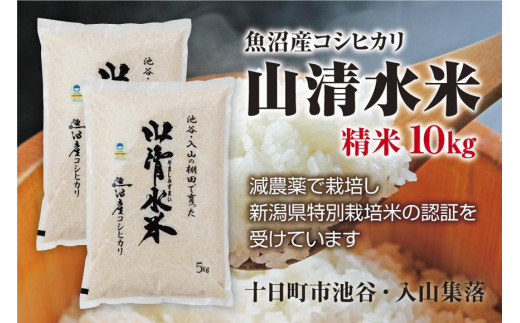 減農薬栽培 〈2年産〉南魚沼産コシヒカリ 精米10kg - 米/穀物