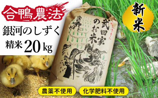 令和５年度産》武田家のお米 銀河のしずく（精米）20kg＜合鴨農法