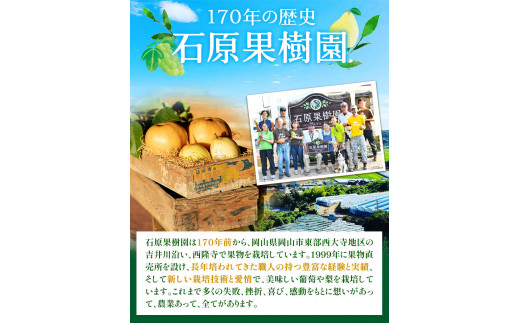 【2024年先行予約】あたご 梨 約900g x 2玉 計1.8kg 化粧箱 石原果樹園《2024年11月下旬-12月下旬頃より発送予定》岡山県  浅口市 フルーツ 果物 ギフト 贈り物 国産 岡山県産 送料無料