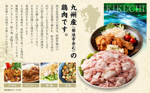 九州産 若鶏ムネ肉 (約600g×7袋) 合計約4.2kg
