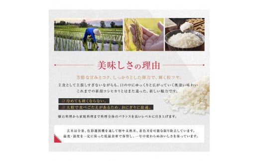 人気おにぎり店に出荷してます 新米コシヒカリ 栃木県 玄米30㎏ - 米/穀物