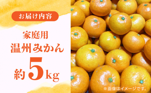 先行予約】【数量限定】【訳あり】家庭用 温州 みかん 約 ５kg【合同