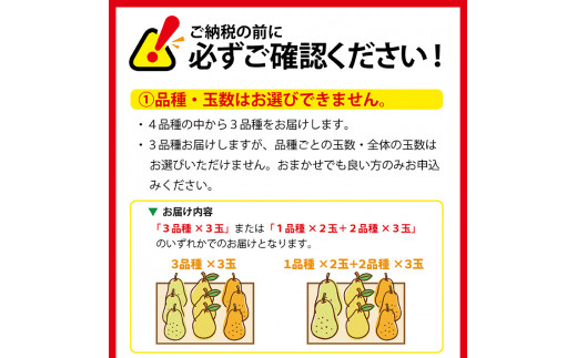 SA1843 六代多右エ門 西洋梨 おまかせ3品種 約3kg(8～9玉) - 山形県