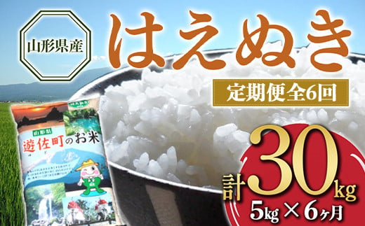 【定期便】山形県産 はえぬき 5kg×6ヶ月連続（計30kg） F2Y-4095 1174224 - 山形県山形県庁