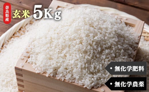 生命の農法（無化学農薬・無化学肥料栽培）お米（5kg）玄米 1047478 - 奈良県五條市