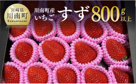 川南町産いちご「すず」計800ｇ【 先行予約 期間限定 果物 イチゴ 苺 フルーツ 】