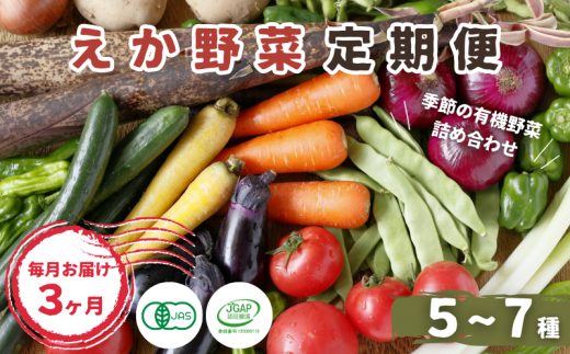 【毎月定期便3回】有機JAS認定 えか野菜 おまかせ5～7種セット 1057499 - 千葉県流山市