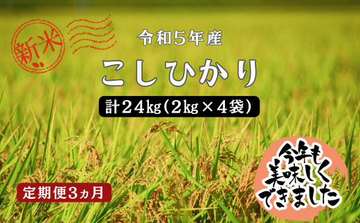 150258【令和5年新米／お米定期便／3ヵ月】しまね川本 こしひかり 2kg