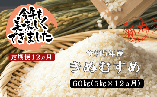 150263【令和5年新米／お米定期便／12ヵ月】しまね川本 きぬむすめ 5kg