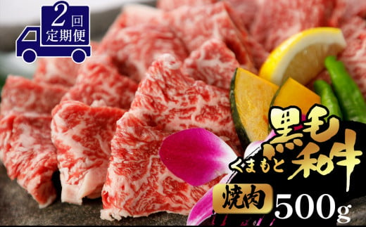 【定期便2回】くまもと黒毛和牛 焼肉用 500g 1096708 - 熊本県玉名市
