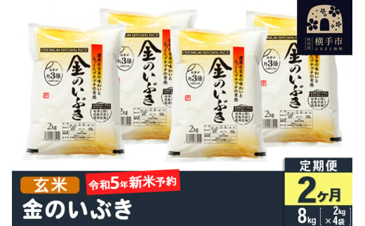 令和5年産新米予約】【玄米】《定期便2ヶ月》令和5年産 金のいぶき 8kg