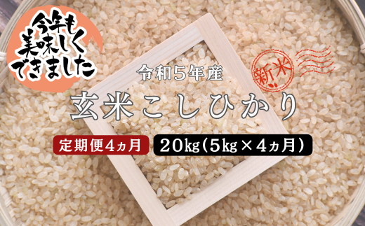 令和5年 新米 コシヒカリ 20kg 玄米