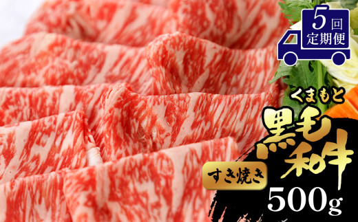 【定期便5回】 くまもと黒毛和牛 すき焼き用 500g | 肉 和牛 すき焼き 熊本 玉名 1096705 - 熊本県玉名市