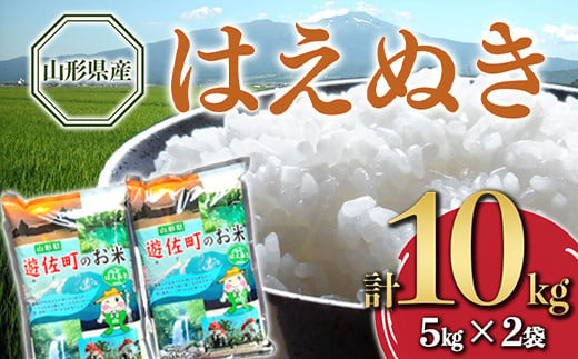 山形県産 はえぬき 10kg F2Y-4093 1174219 - 山形県山形県庁