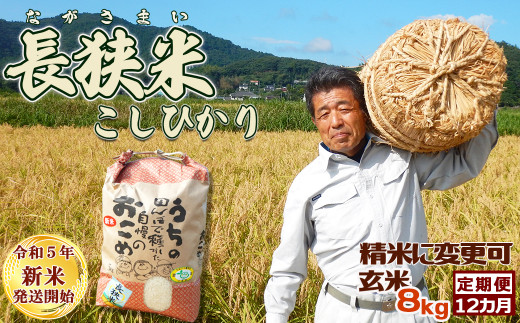 自然栽培 玄米 28kg コシヒカリ 2023年産 - 米
