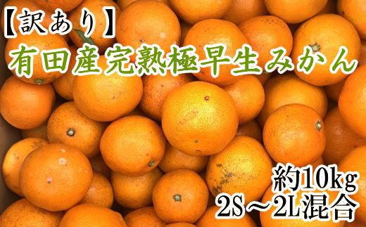 有田産完熟極早生みかん約10kg(2S～2Lサイズ混合)【訳あり】【発送期日