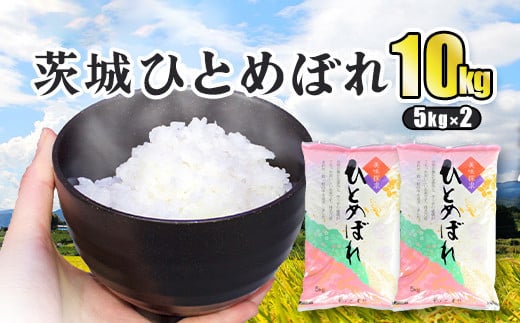 【令和２年産】精米済　お米　ひとめぼれ　10kg