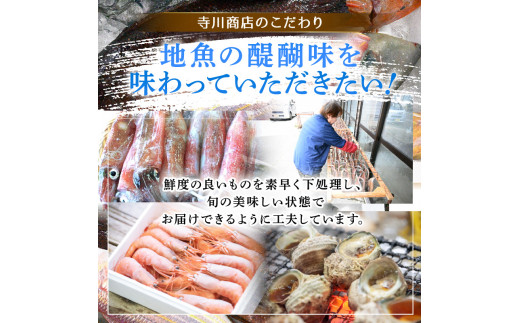 簡単で便利！手軽で新鮮な 若狭 秋～冬の 天然 鮮魚セット 計1.3