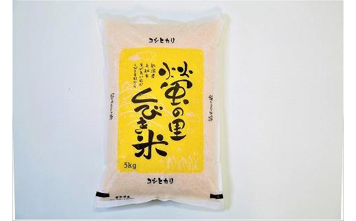 令和5年産】新潟上越産コシヒカリ 5kg 1044971 - 新潟県上越市 | au