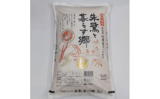 佐渡・今井茂助商店おすすめ佐渡産コシヒカリ米「朱鷺と暮らす郷」5kg 930307 - 新潟県佐渡市