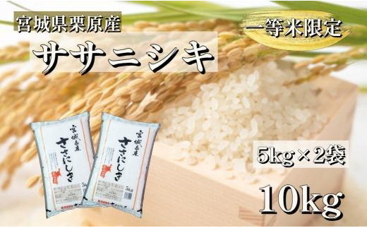 新米】【令和5年産】宮城栗原産 ササニシキ 白米 5kg (5kg×1袋) 一等米