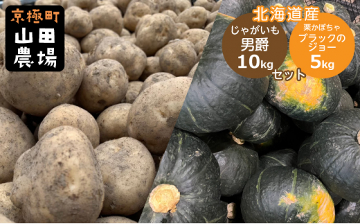 北海道産じゃがいも男爵10kg・かぼちゃ5kg 1300799 - 北海道京極町