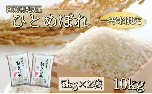 年末 新米 宮城県5年産 ササニシキ 1等米 玄米 希少米 30kg - 食品
