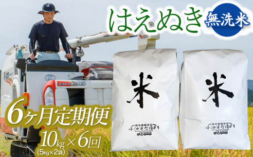 6回定期便】令和5年産 山形県庄内産 小池半左衛門のお米 はえぬき 無