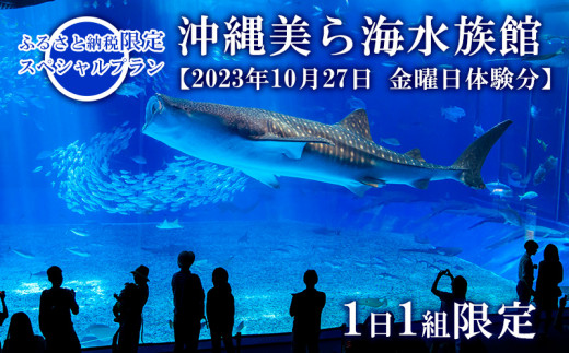 2023年10月27日 金曜日体験分】1日1組限定 沖縄美ら海水族館