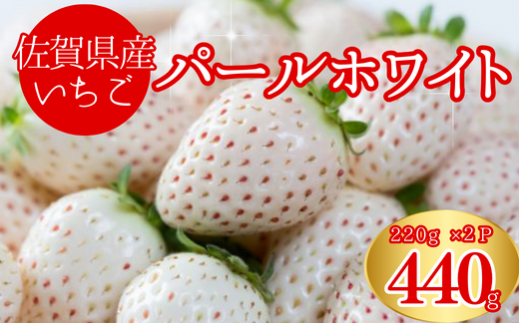 佐賀県産いちご パールホワイト220g×2パック