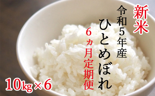 令和５年産 新米】《6ヵ月定期便》平泉町産ひとめぼれ 10kg×6回(計60