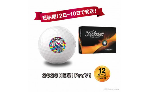 Titleist　Pro V1x 2021年モデル 　ゴルフボール　２ダース